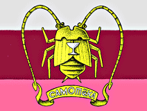 флаг независимой республики Самотека